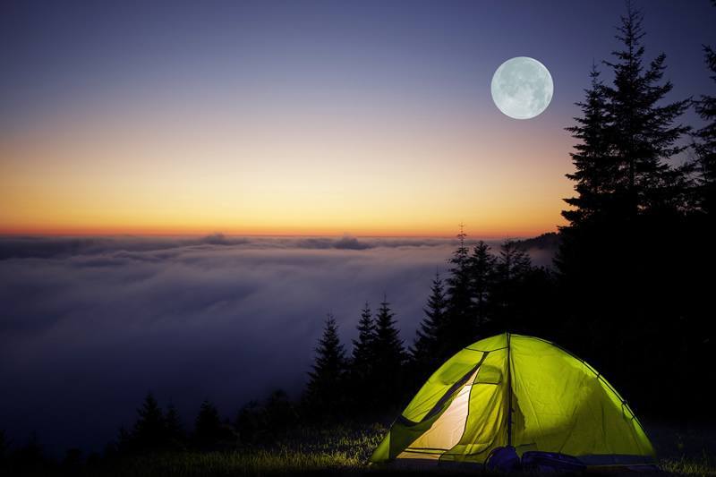 The 5 Best Camping Tents You Can Get for Your Dollar