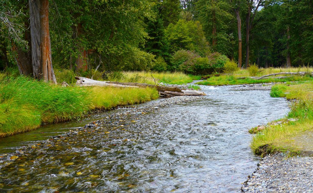 Wallowa River near Wallowa Lake, Oregon