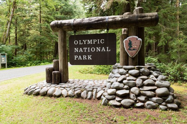 The Ultimate Guide to Camping in Olympic National Park