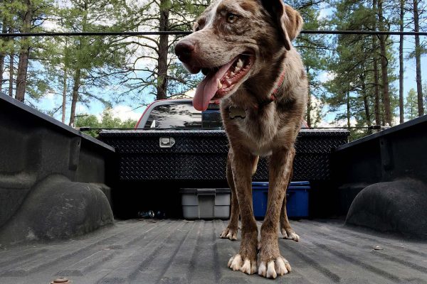 Your Guide To Truck Bed Camping In Comfort