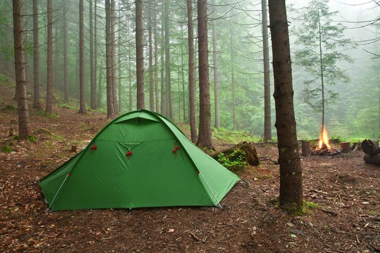 A tent protected from the wind by trees